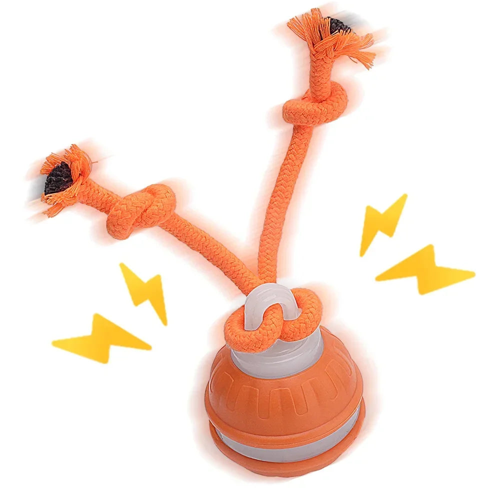 Smart Pet Ball 🐾⚡ Endless Chase Fun