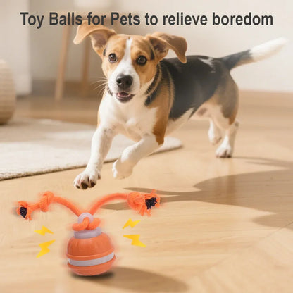 Smart Pet Ball 🐾⚡ Endless Chase Fun