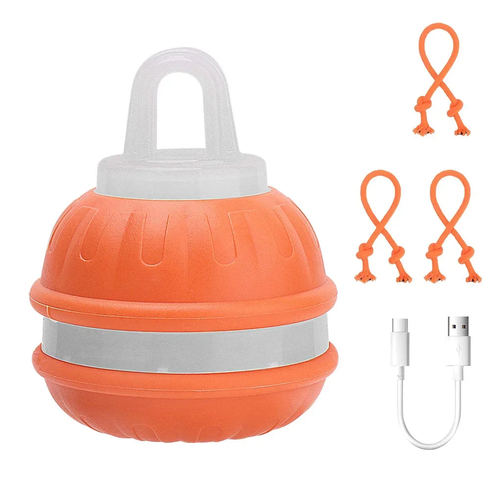 Smart Pet Ball 🐾⚡ Endless Chase Fun