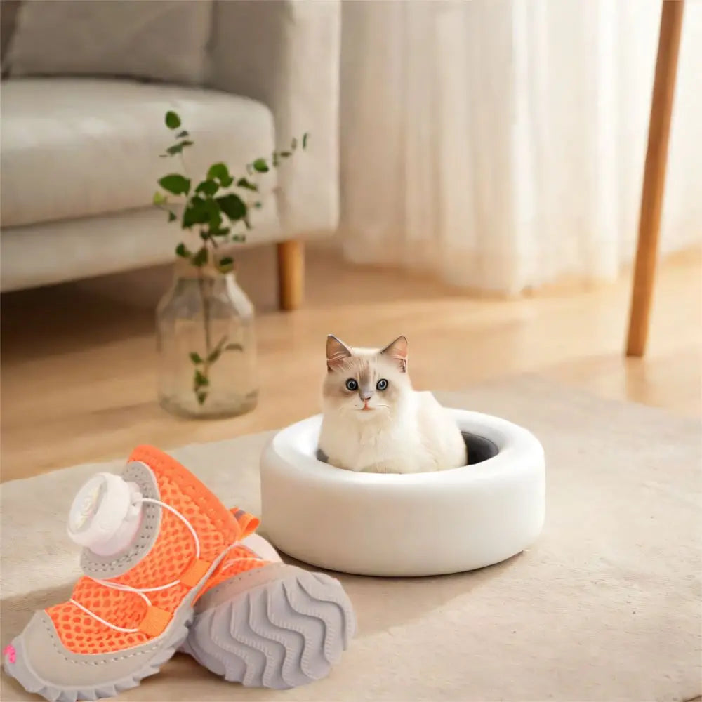 PawGuard™ Cozy Button Shoes 🛡️🐾