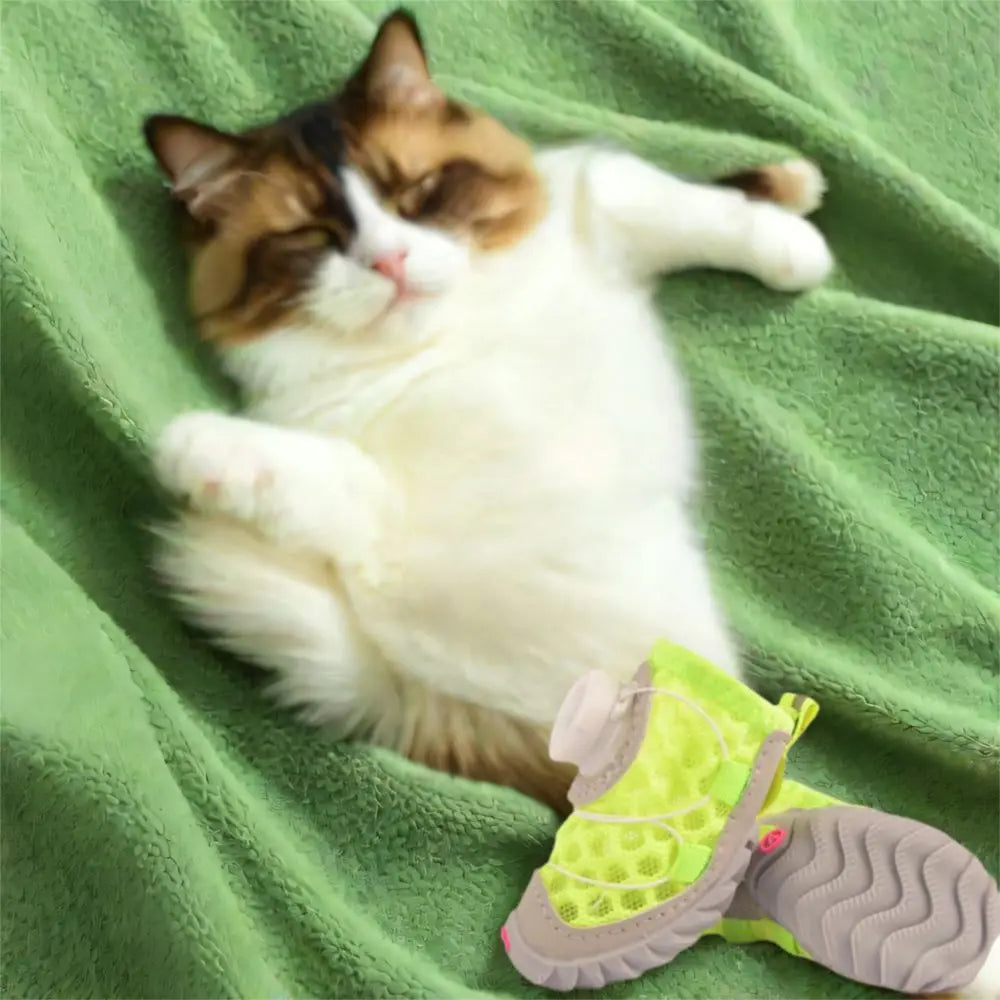 PawGuard™ Cozy Button Shoes 🛡️🐾