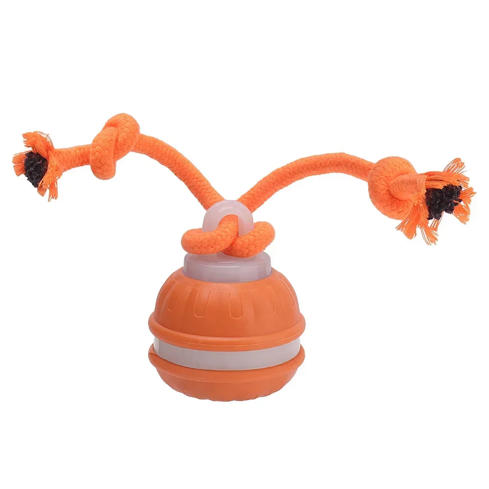 Smart Pet Ball 🐾⚡ Endless Chase Fun