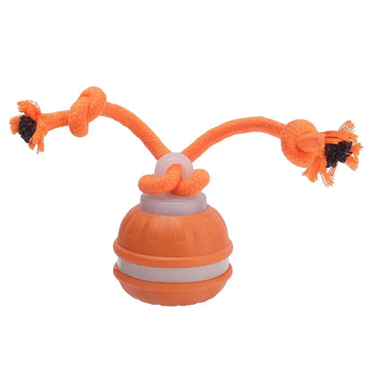 Smart Pet Ball 🐾⚡ Endless Chase Fun