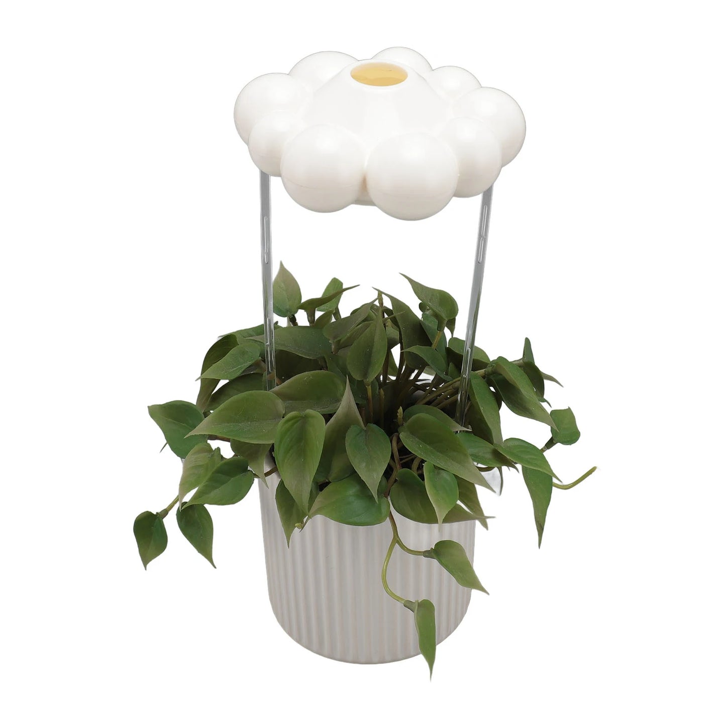 Plant Cloud Dripper 🌧️🪴 Watering Made Magical