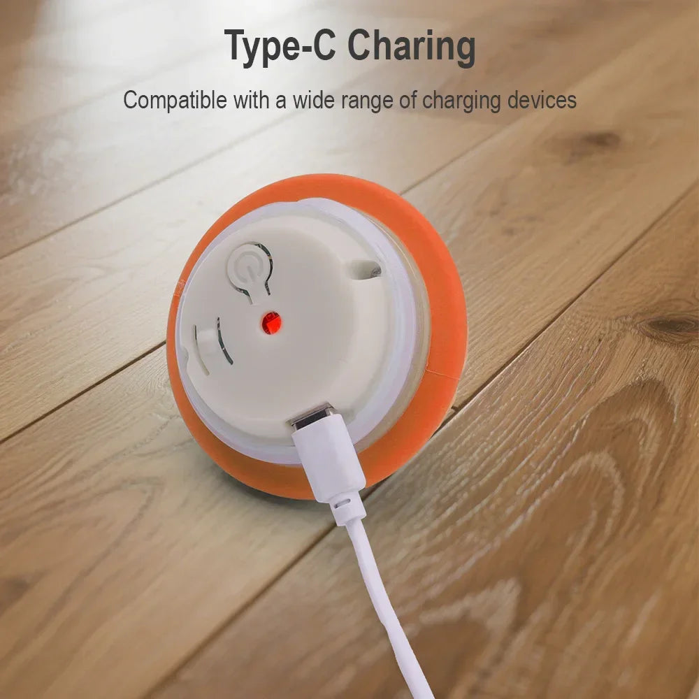 Smart Pet Ball 🐾⚡ Endless Chase Fun